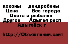 коконы    дендробены › Цена ­ 25 - Все города Охота и рыбалка » Другое   . Адыгея респ.,Адыгейск г.